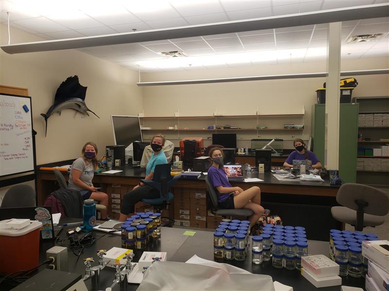 #UndergraduateResearch is happening NOW in the Seascape Ecology Lab. Wanna study #corals? Get in touch!