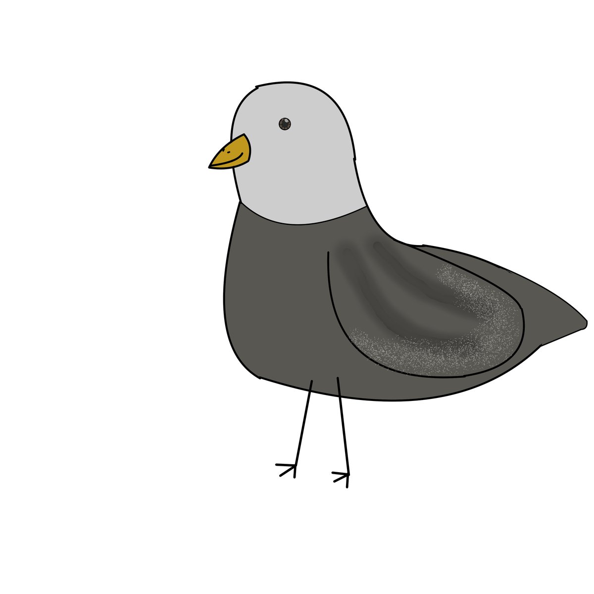 Mosspig2's tweet photo. Whats happenin? My birdie legs that's what is happening. I said a tweet a tweet tweet. #crazypidgeon #Pidgeon #legs #tweet #dirpee #Dirp #bird #suspicious #cawcaw https://t.co/L8WuRmRr7W