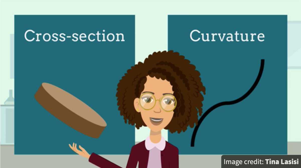 UmEhap's tweet photo. Most of her work so far has been focused on finding the best way to understand differences in hair #phenotype. She is measuring traits like the radius of curls and amount of #melanin in hair, among other things, to develop good methods to quantify hair curl and color. https://t.co/sRpRrg0Bj5