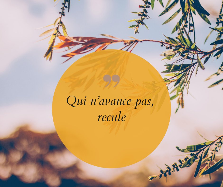 AllianceHouston's tweet photo. Whoever is not moving forward, recedes! So true and may we all be able to move forward from our troubles, change for the better, keep going to achieve bigger things, and may the wheel of fortune always be positive! 
#french #frenchproverbs #onlineclasses #houstonpeople https://t.co/wHfyoJvRbd