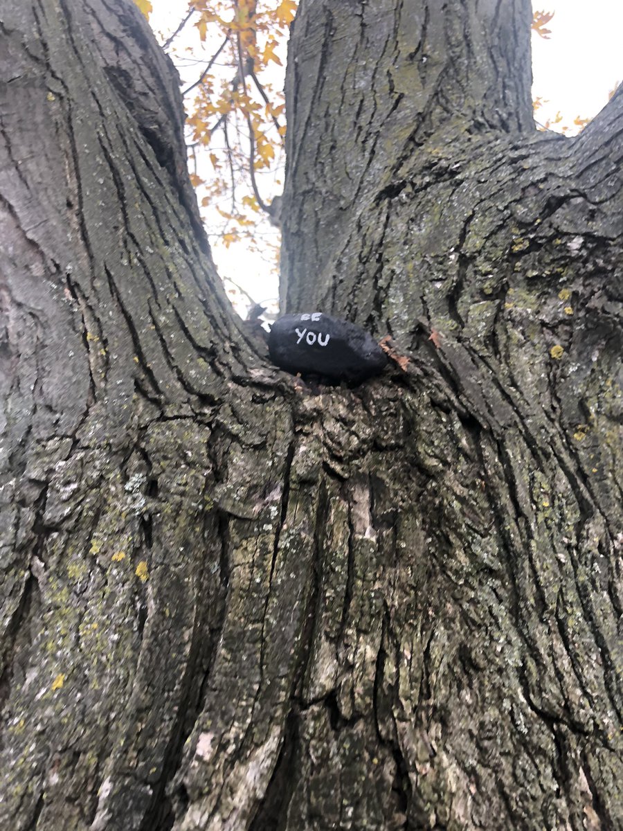 KevinHryhirchuk's tweet photo. Messages of joy in my community by @EarnscliffeSPS students. Their message is to have Hope, Be You, Love, and that You Matter. Find these inspirational rocks at Knightsbridge Park along with others placed there by students to brighten your day.  #Brampton https://t.co/MoipUXe3tO
