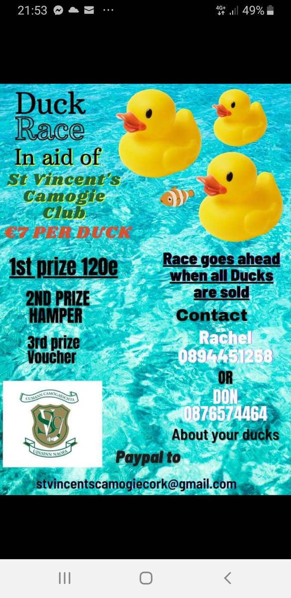 SaintsCamogie's tweet image. Time for a bit of quack,sorry craic 😉.Another lockdown means another fundraiser,this time for our club.C'mon guys get your ducks in a row and support our girls.Details below.🦆💚 #saints #fundraiser #duck #race