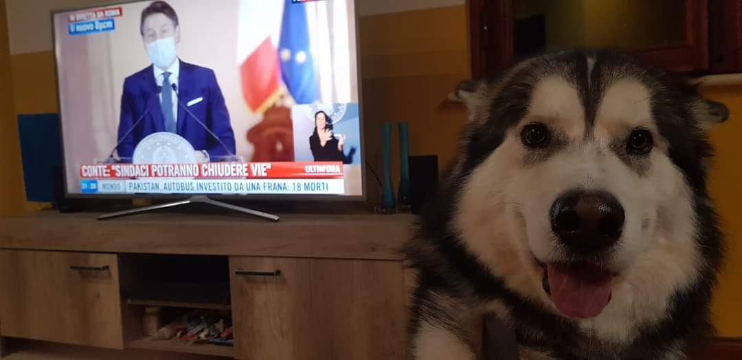 maripetrasso's tweet photo. #propagandalive https://t.co/03xVkovgIp