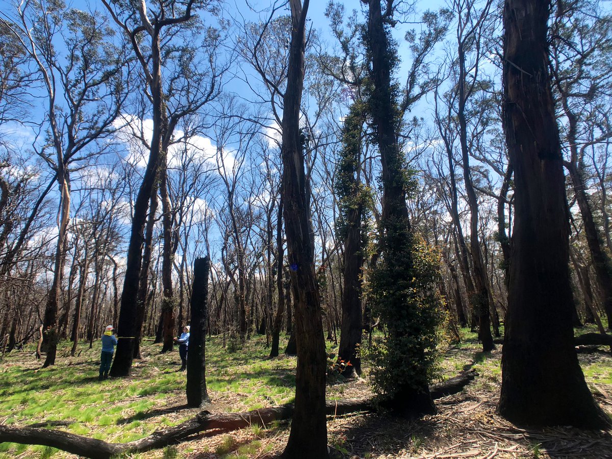 Rachael Nolan tweet media