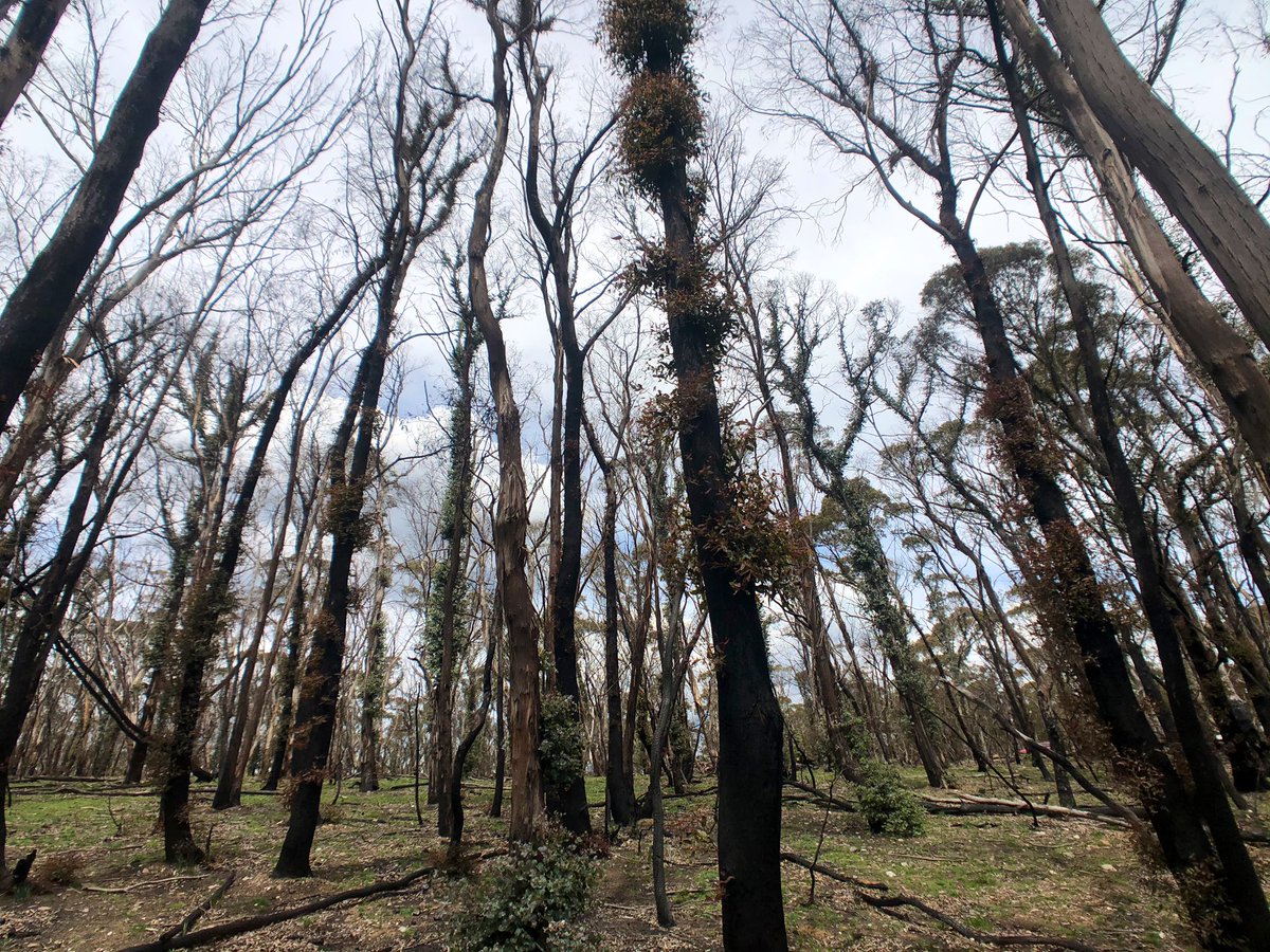 Rachael Nolan tweet media