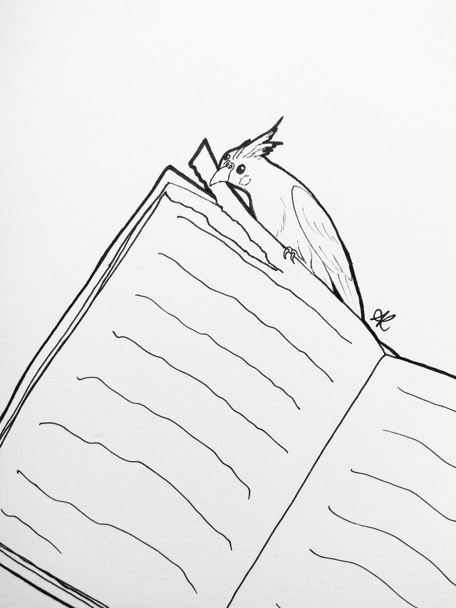 NayraNoIrasuto's tweet photo. Inktober Day 23 : Rip

#drawing #illustration #frenchartist #draw #inktober #inktober2020 #inktoberday23 #art #ink #rip #cacatoes #bird #birds #book https://t.co/Ab0GKdMtJk