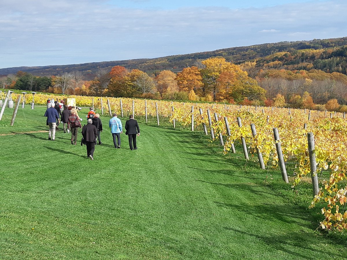 devourfest's tweet photo. Some shots from today's Beyond Terroir at @Benjamin_Bridge in partnership with the Glooscap First Nation. You have one more chance to take part in this unique walking workshop tomorrow at 11am AT. Get your tickets at https://t.co/JAqFzWiMRK #Devour2020 #devourfest https://t.co/31lXzhCDMJ