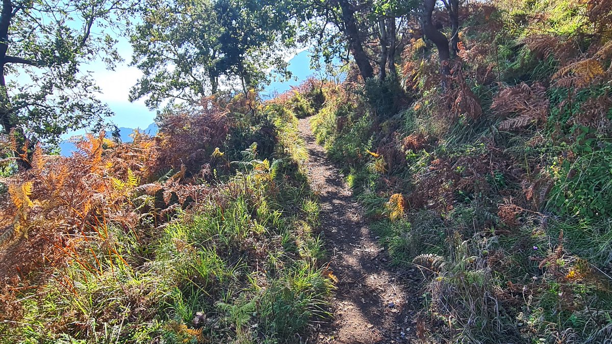GoinItaly's tweet photo. Beautiful October day to #hike! Mount Avvocata is a classic route with stunning #views over the Gulf of Salerno and the #AmalfiCoast in Southern #Italy. #travel #planning #goinitaly https://t.co/MbMGs2vV7X