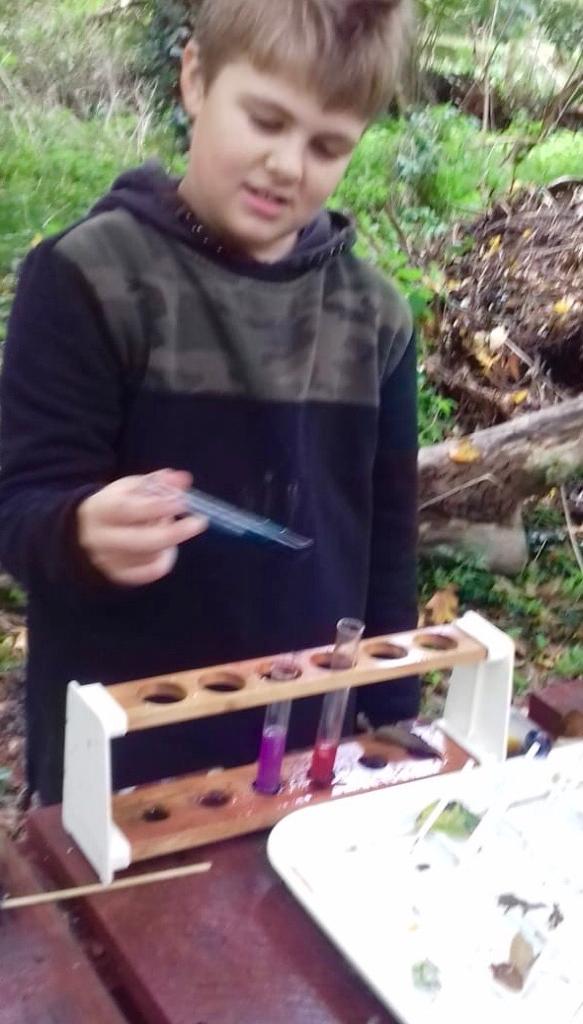 ThatsElementary's tweet photo. #Science in the #woods 🌳 #Learning about #Chemistry and #AcidAndAlkalis We read the #ColoursOfChemistry Plant pigments as indicator #FunExperiments #OutdoorScienceLab #OutdoorClassroom https://t.co/eNd7sP2I6W