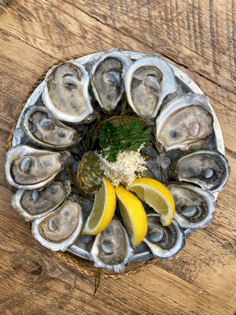 ChefPigot's tweet image. With a storied history of maritime hospitality &amp;amp; great seafood dating back to 1987, Rodney’s is truly Canada’s great oyster house 🇨🇦🏡 I’m excited to announce my partnership with them as @RodneysCalgary’s Culinary Ambassador - come down, say hi and try my new feature menu 🍽🥂🦪