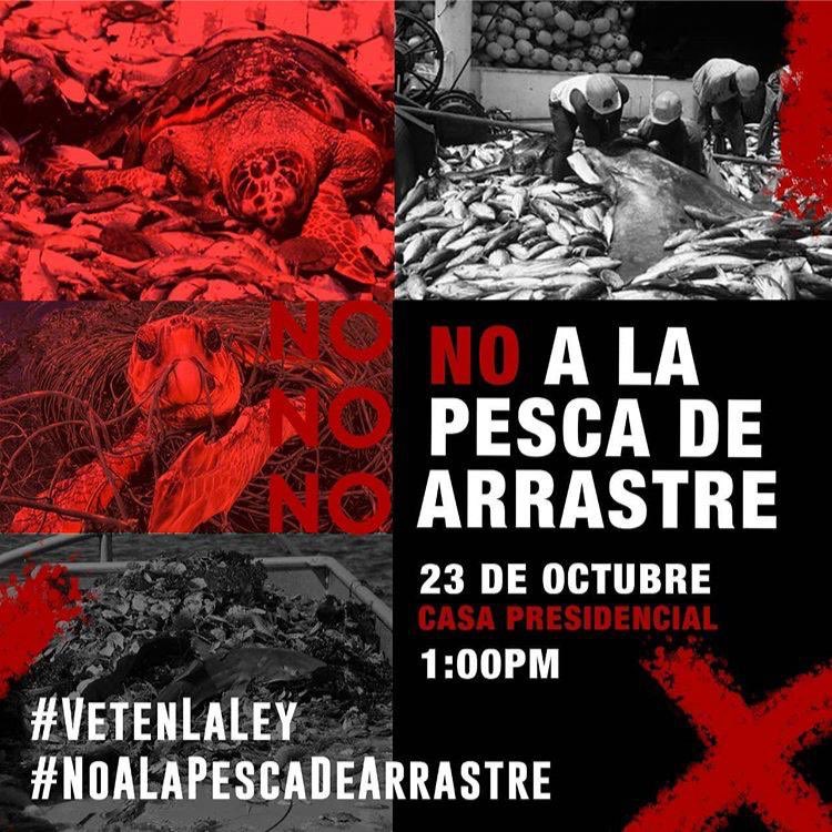 singingmali's tweet photo. Totalmente indignada, deprimida, decepcionada 😓. Los seres humanos de verdad que somos expertos en destrucción 😞😞😞. #vetenlaley #NoALaPescaDeArrastre @asambleacr @presidenciacr @AlgoPorLaTierra @nampumanakicr  @greenwolfcr @bloqueverde https://t.co/eDfqO85AWM