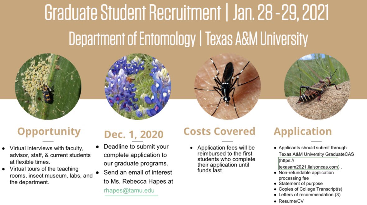Are you interested in getting a graduate degree in Entomology? Check out <a href="/tamuentomology/">Texas A&M Entomology</a>’s recruitment opportunity!