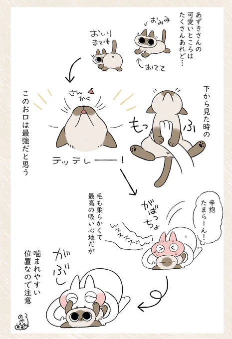 んすすすすぅ〜〜(吸) #シャム猫あずきさんは世界の中心 