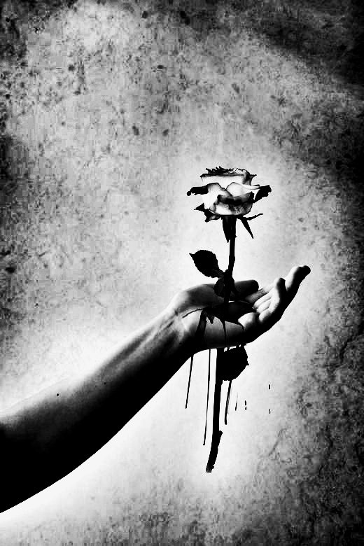 𝐈𝐥𝐥𝐮𝐬𝐢𝐨𝐧𝐬 𝐬𝐮𝐬𝐭𝐚𝐢𝐧 𝐭𝐡𝐞 𝐬𝐨𝐮𝐥, 𝐚𝐬 𝐭𝐡𝐞 𝐰𝐢𝐧𝐠𝐬 𝐬𝐮𝐩𝐩𝐨𝐫𝐭 𝐭𝐡𝐞 𝐚𝐧𝐠𝐞𝐥.