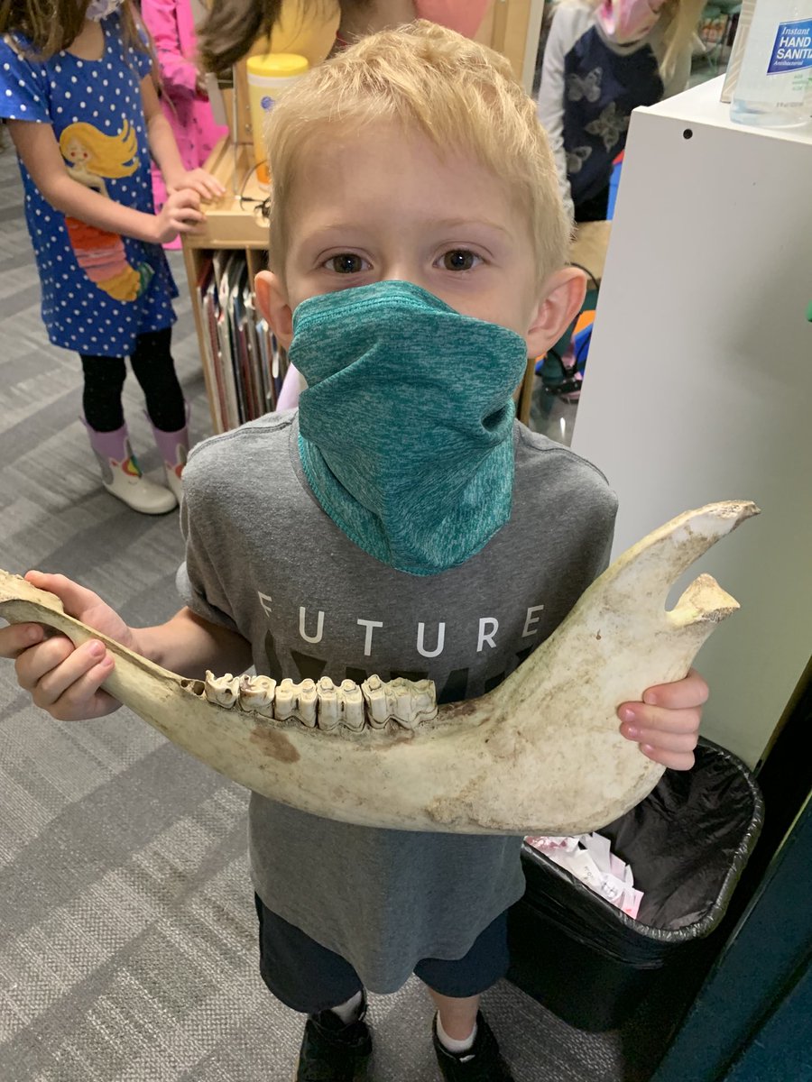 Some show and share coolness today! “Jaw” know what I’m talking about?! 🐮  ⁦<a href="/rockenbaughES/">Rockenbaugh ES</a>⁩ ⁦<a href="/Carrollisd/">Carroll ISD</a>⁩