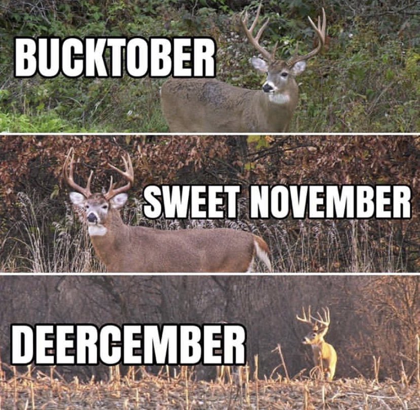 Outdoor Obsession tweet media