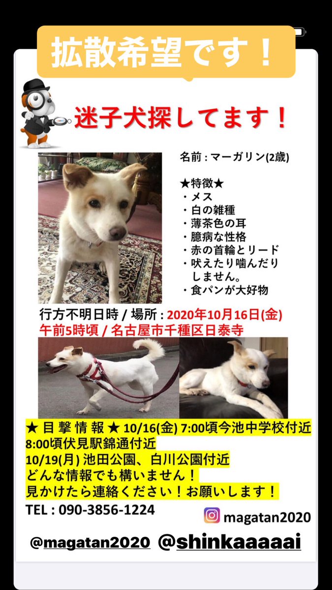 nd801ulhVspQZMJ tweet picture