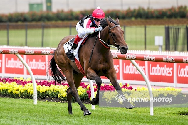 anz_news's tweet photo. #YesBabyYes goes from barrier to box in the Fillies Classic. Bred and Sold by @SledmereStud to the @MaluaRacing and @FlemingtonBA at the @mmsnippets Gold Coast for $120K, that is Dissident's 2nd SW. The @NewgateFarm train keeps rolling @CWilliamsJockey 📸Racing Photos https://t.co/ZGFcyzQLHH