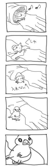 すっごい前に描いたましろさん漫画 