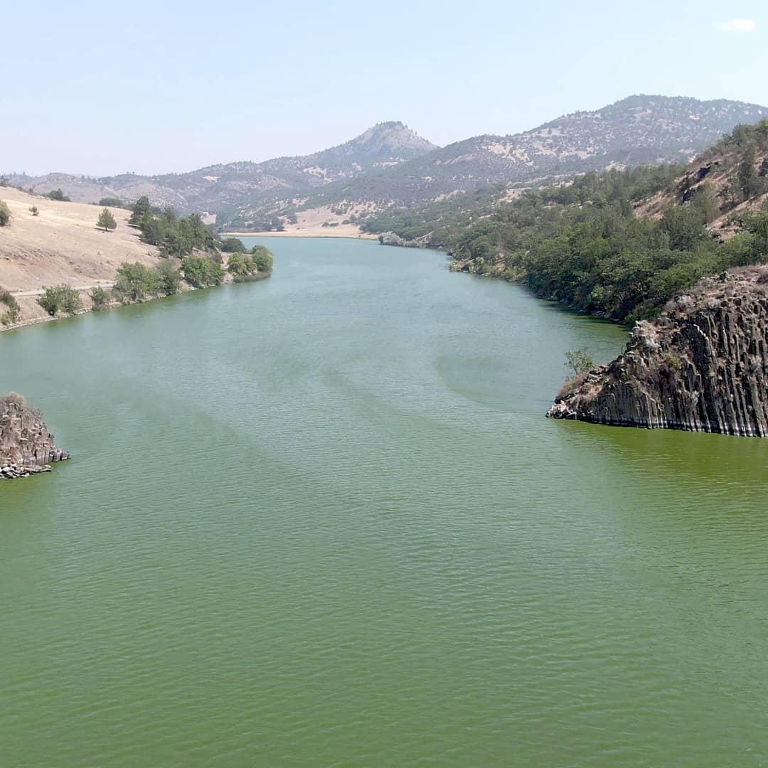 SaveCaliSalmon's tweet photo. Share these photos of the toxic algae caused by these dams poisoning the Klamath river. Today is one day, but the fight is everyday, so sharing and fighting until these dams are removed. This toxic river will be everyone's future if we don't stand together. #UndamtheKlamath https://t.co/mCe14AunHf