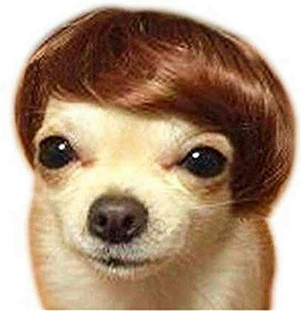 waiting for con season to come back around like