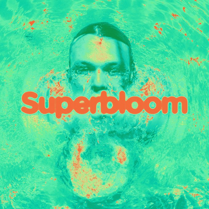 5SOSFAM_GT's tweet photo. #SUPERBLOOM BY @Ashton5SOS disponible en todas las plataformas! 💚 

Stream/Compra: https://t.co/QuespojYst

#SUPERBLOOMOUTNOW https://t.co/45FMIuKLHe
