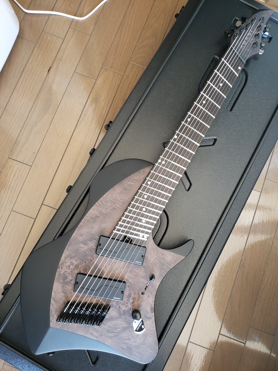 Abasi Concepts Larada 8 Legion 買ってしまいました