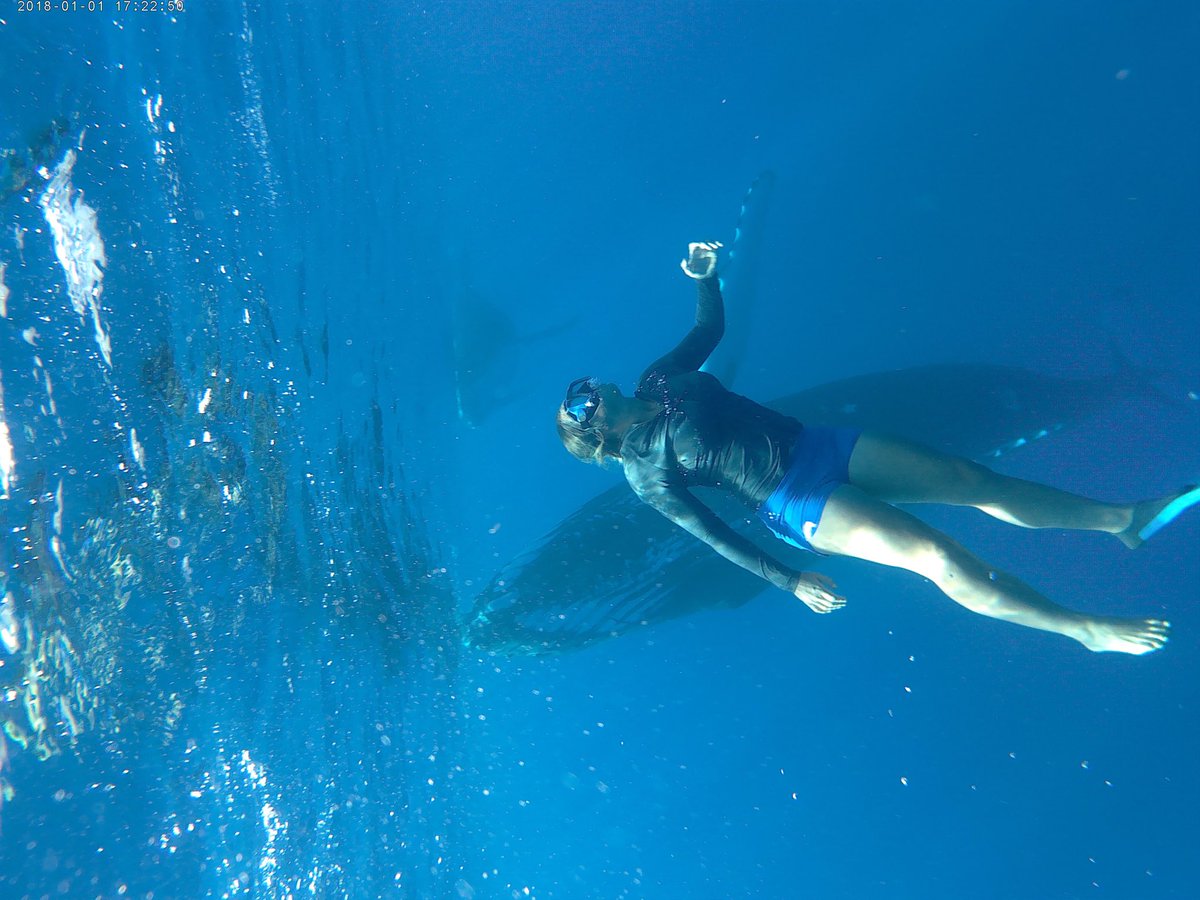Desert Paddleboards tweet media
