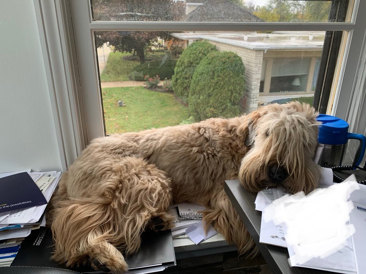 A record breaking week for Brightway Insurance, The Nadelhoffer Agency. ⁦<a href="/3littleblues/">rebecca nadelhoffer</a>⁩ Glad it’s Friday. Have a great weekend and Bear down!