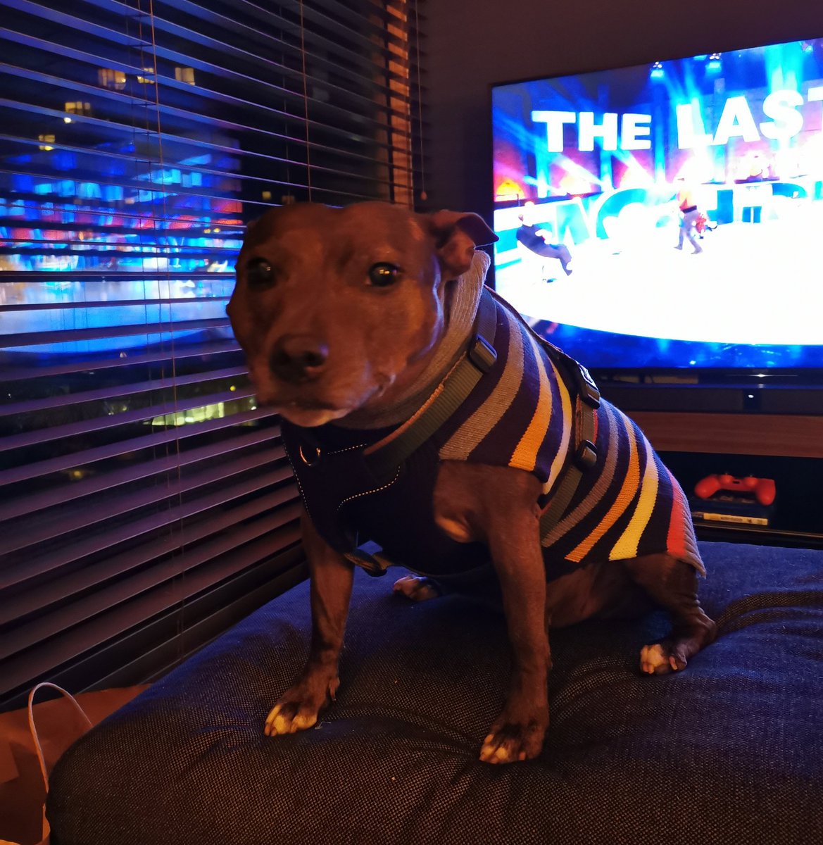Sasha has dressed up for the occasion. Leeds 3, Villa 0.