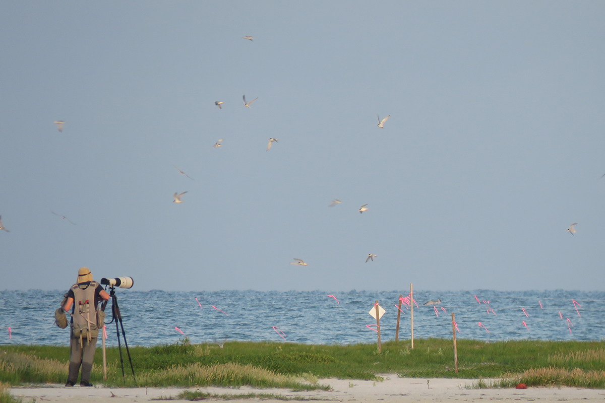 "Coastal birds face daily challenges by people who are unaware or don't realize the problem. Stewardship is extremely important." #coastal #birds #AudubonAssembly fl.audubon.org/get-involved/c…