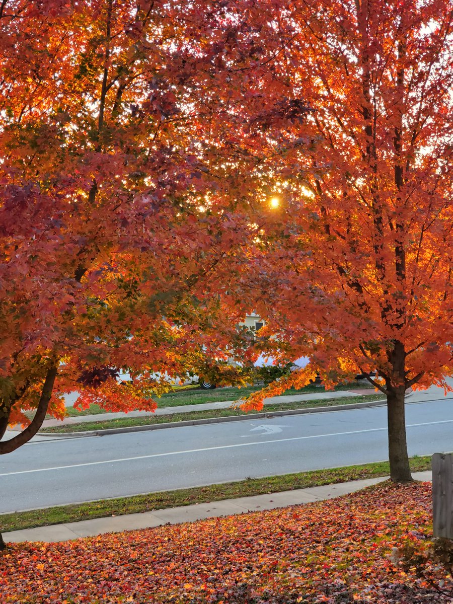 Southern #Indiana in the #fall is truly amazing