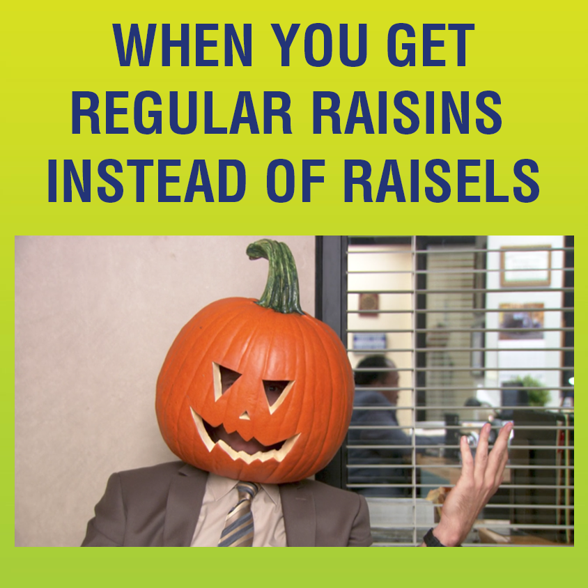 Raisels's tweet photo. "I mean the pumpkin should rot off of my head in a month or two."
-Dwight 🎃
.
#meme #halloween #theoffice https://t.co/FDTQI0lVxL