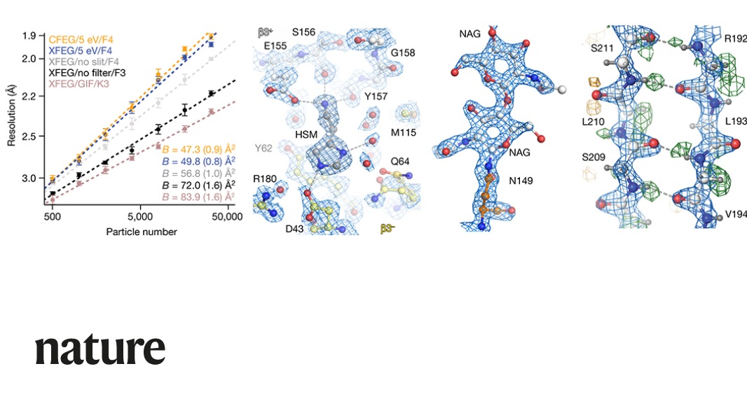 NaturePortfolio's tweet photo. A Nature paper reports the sharpest images yet obtained by using a method called single-particle cryo-EM. https://t.co/j0msdAsPFU https://t.co/uVwr0tu7SI