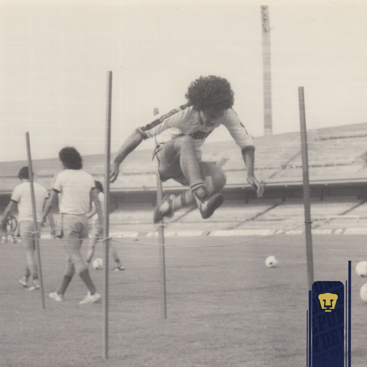 ¡El primer capítulo en la historia del 'Niño de Oro'! 👦🏻🥇
El 23 de octubre de 1976, @hugosanchez_9 jugó su primer partido en el futbol profesional, entrando de cambio por Cándido en el Universitario de San Nicolás ante Tigres.
El resto del cuento ya se lo saben 😎
#SoyDePumas https://t.co/hyWKik6Tms