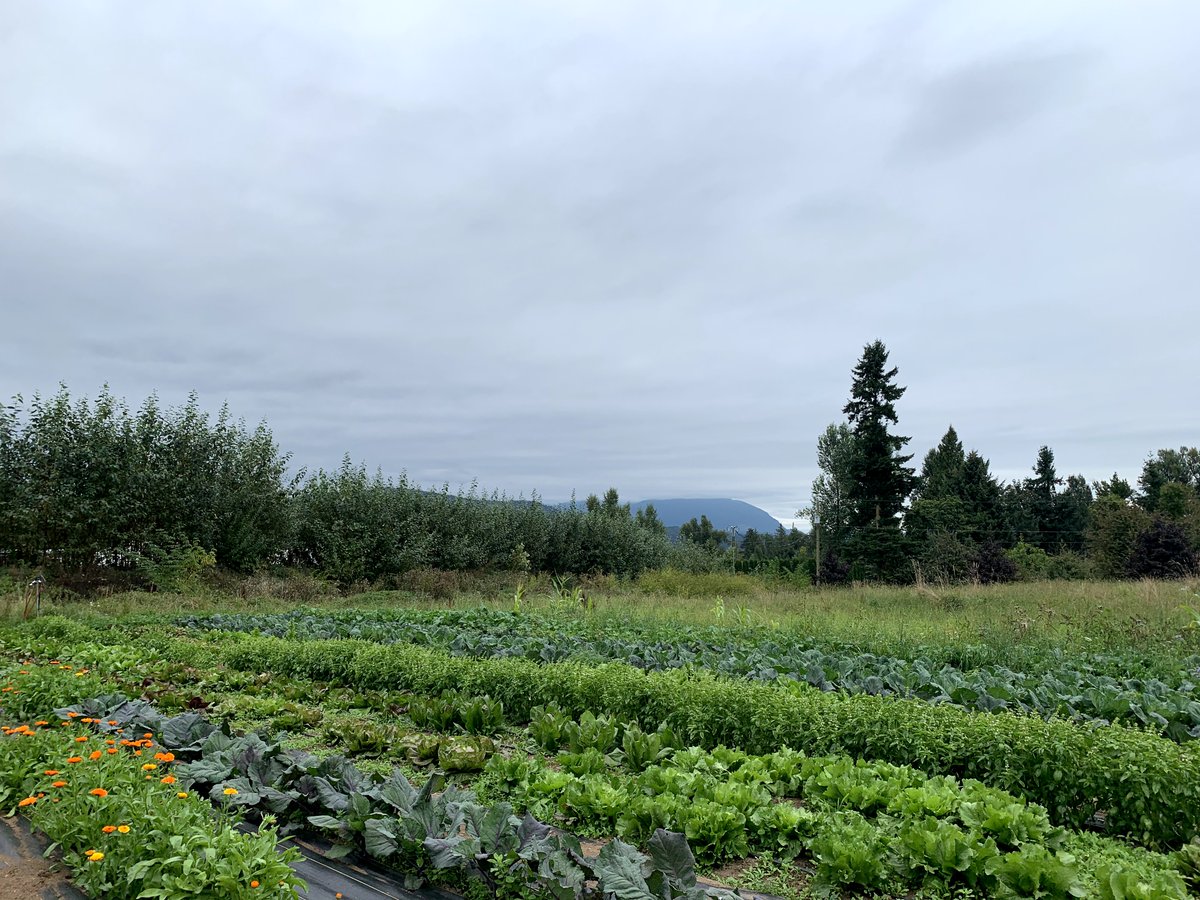 FarmFolk CityFolk tweet media