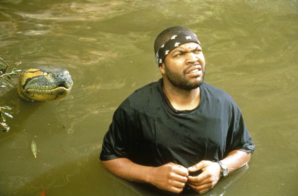  @icecube as Danny Rich in  #Anaconda. The film focuses on a documentary film crew that are held captive by a snake poacher. As the anaconda devours each member of the crew on-by-one, it eventually comes down to  #IceCube and  @JLo to stop the South American reptile.