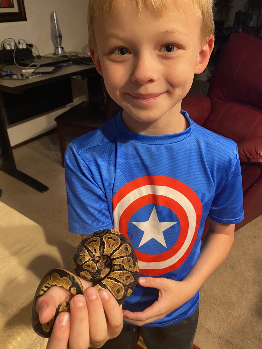 kaylathomasoma's tweet image. Big day! The kid finally let me hold the snake! It’s my first #snakeselfie #snakemom #boymom #snakesarecool