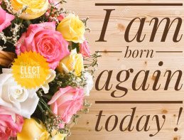 BeBornAnew's tweet photo. TONIGHT TONIGHT I HAVE RECEIVED THE LORD. I AM BORN AGAIN ALILILILILILILI 💥🌿✨💫🍀🌿 https://t.co/n6cz28v5lN