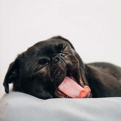 #WeekendGoals (regram from @YesterdayWellness): "Sometimes you just need to go to bed early. ⁠Restful sleep helps you to recover from stress in unique ways. So ditch all non essential plans, shut the lights, take your evening dose of CBD and get read… instagr.am/p/CGs31zKBDd7/