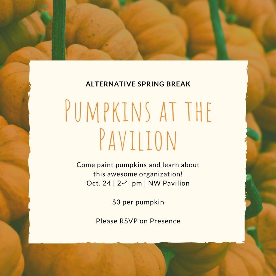 Alternative Spring Break NWMSU tweet media