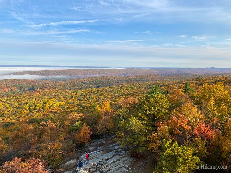 njhiking's tweet photo. Stokes State Forest - Sunrise Mountain/Culvers Gap [Sussex County, NJ] – Foliage photos from 10/18/20. #njHiking #njfall #njfoliage #njfallfoliage 

Hike it ---> https://t.co/rNWF9MKNMH https://t.co/9pxCF0Xm1Y