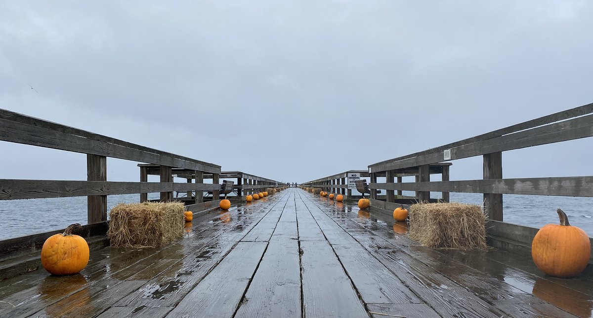 townofsidneybc's tweet image. Sidney is looking truly SPOOKTACULAR!🎃Find details about Halloween in Sidney at: sidneybia.ca/halloween

Thank you to our local businesses, organizations, and @MySidneyBC for bringing it all together! 
#SidneyBC #ExploreSidney