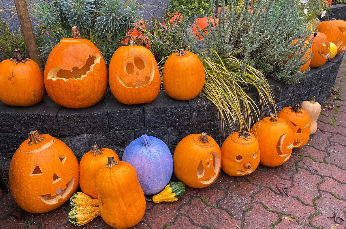 Town of Sidney (@townofsidneybc) on Twitter photo Sidney is looking truly SPOOKTACULAR!🎃Find details about Halloween in Sidney at: sidneybia.ca/halloween
Thank you to our local businesses, organizations, and <a href="/MySidneyBC/">Explore Sidney</a> for bringing it all together!
#SidneyBC #ExploreSidney Sidney is looking truly SPOOKTACULAR!🎃Find details about Halloween in Sidney at: sidneybia.ca/halloween
Thank you to our local businesses, organizations, and <a href="/MySidneyBC/">Explore Sidney</a> for bringing it all together!
#SidneyBC #ExploreSidney