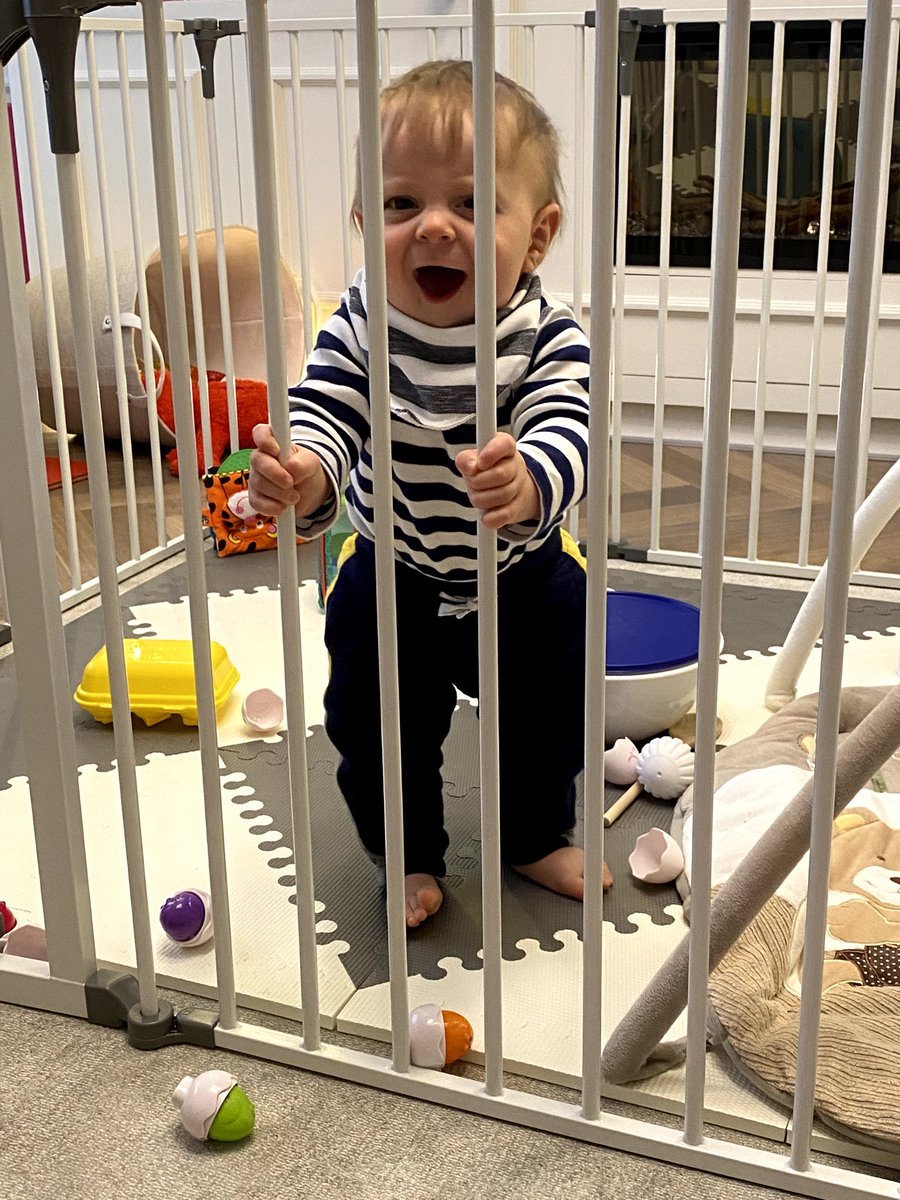 MarciBonham's tweet photo. What it feels like finding out Ireland needs 6 weeks of lockdown. (It’s for our own good) #LockdownIreland https://t.co/0atN9UEzgs