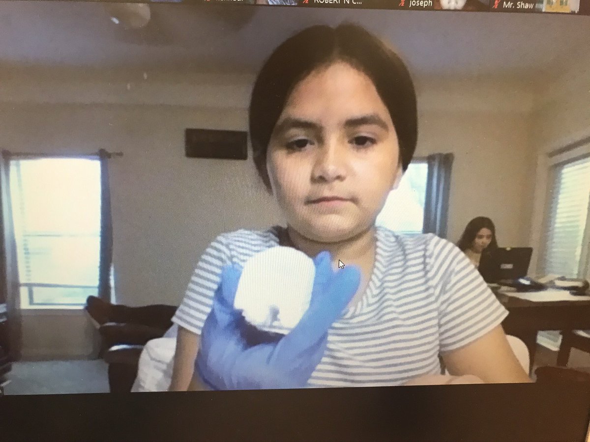 TuerRebekah's tweet photo. Celebrating finishing The Tiger Rising by whittling in soap. We made connections with main character Rob who also whittled. Both online and in person kids participated. @BenferKISD @BenferLibrary @Benfer4th @KleinISDLindsey @KleinISD https://t.co/Dsel8j4dLH