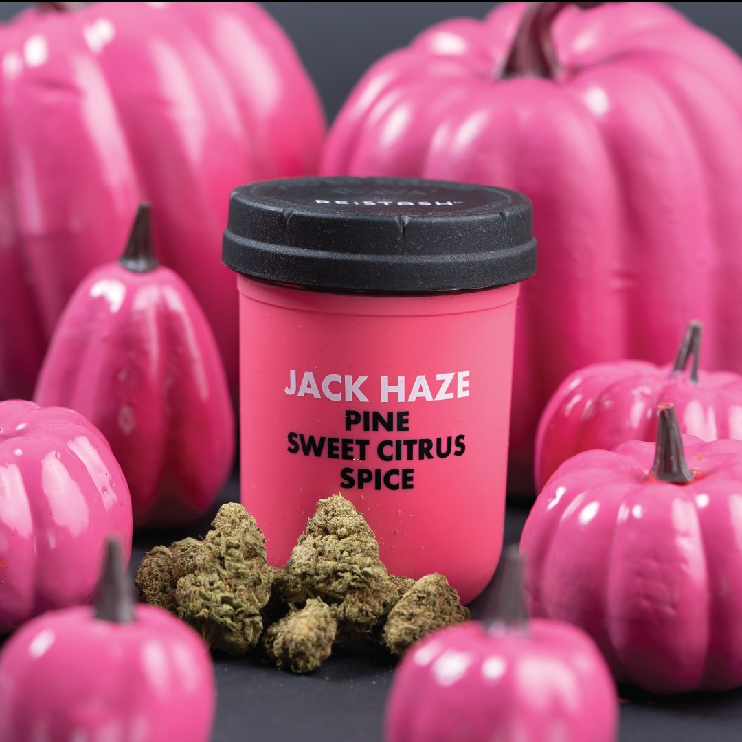7ACRESmj's tweet photo. Stock up on Jack for a tasty Halloween. Jack Haze's sweet citrus aroma can be attributed to the presence of the Ocimene terpene, found in both mangoes and kumquats.
Learn more: https://t.co/fEMlL4U2Vf #JACKHAZE #RespectThePlant #cannabis #DoYouKnowJack https://t.co/30AFvjhoUH