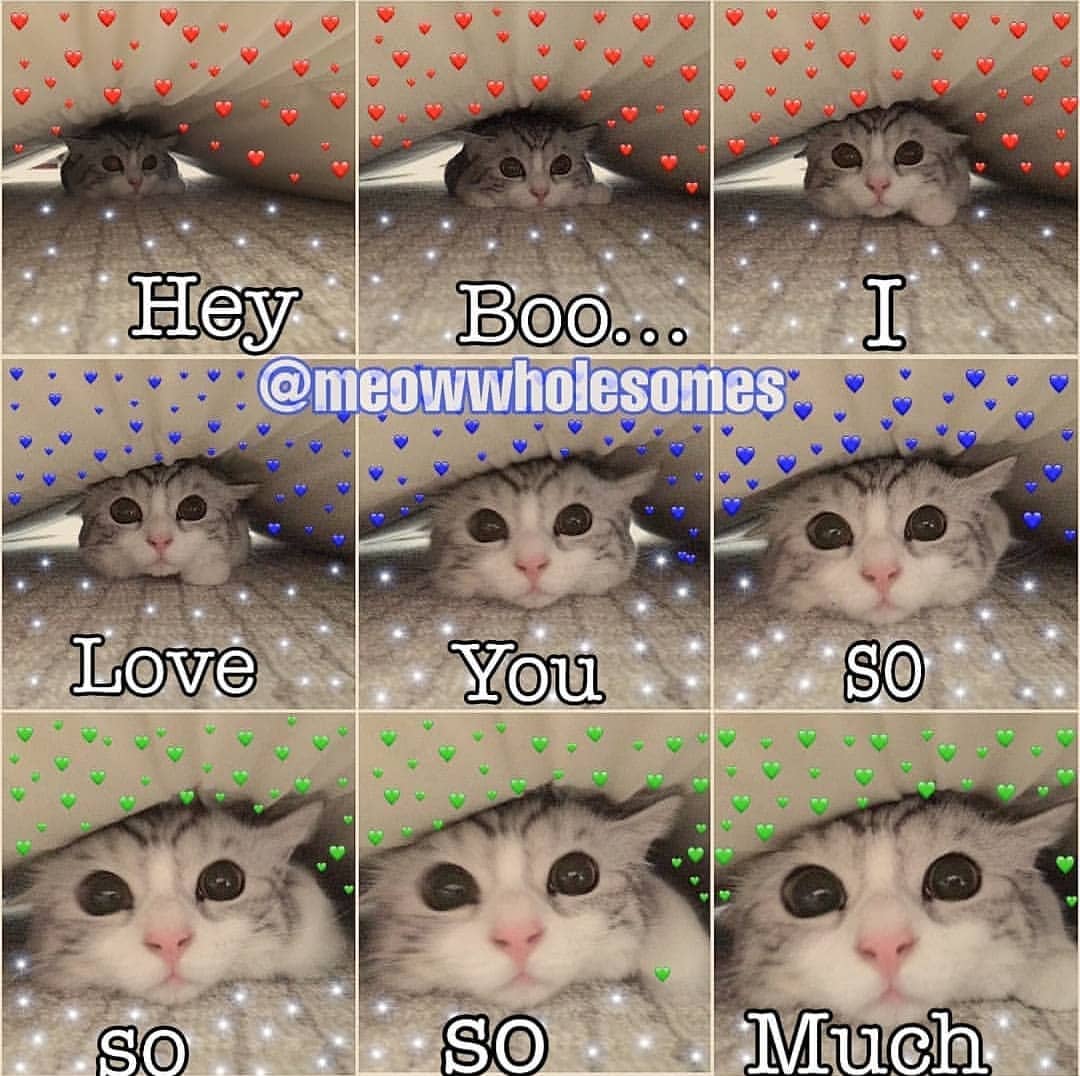 (Here's to everyone who needs it. Stuff is tough but I believe in you)