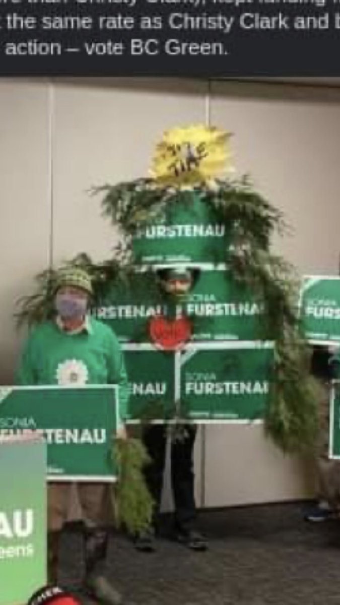 meg_olsen_'s tweet photo. Just @BCGreens things https://t.co/CMnXQVYPSP