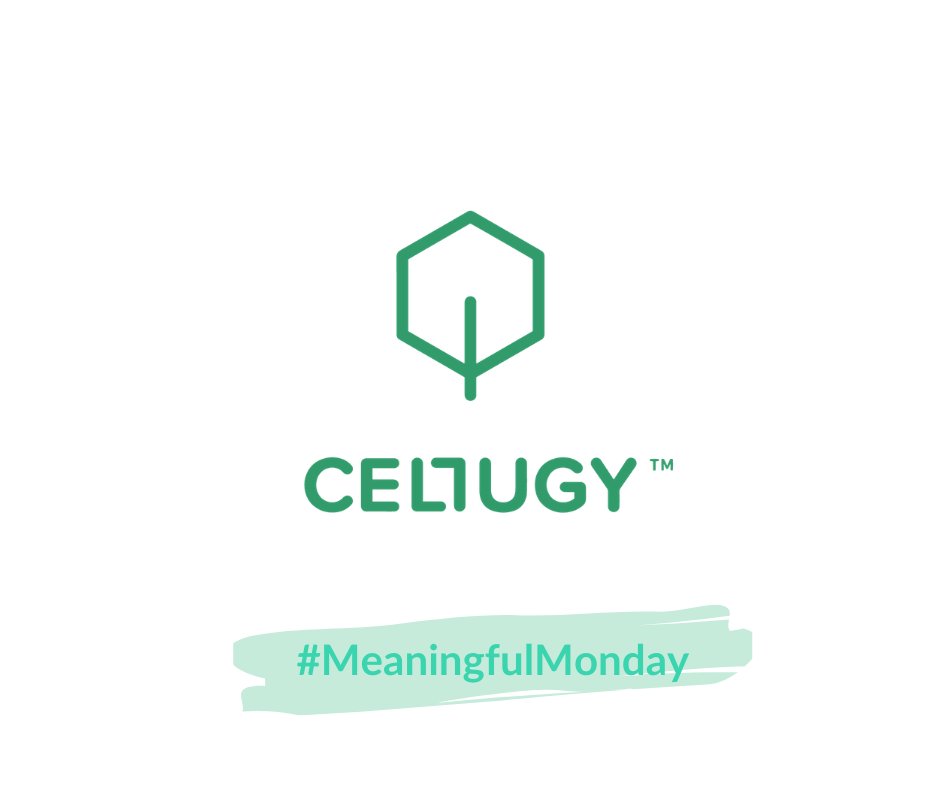 MakerCollab's tweet photo. #Cellugy uses #business as a force for good against #plasticpollution and has developed a #sustainable substitute for fossil-based plastic. Thanks to the #meaningful #work they do, we have an amazing alternative for plastic #packaging!📦
#CollabMaker #MeaningfulMonday #Innovation https://t.co/SpBDKFaFZW